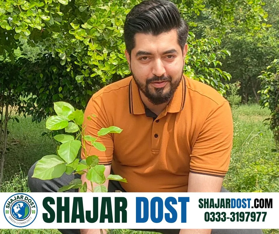 Green Seekers Activity